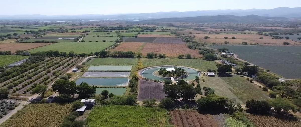 Foto de terreno habitacional en venta en centropueblo tepalcingotepalcingo , tepalcingo, tepalcingo, morelos, 0 No. 05