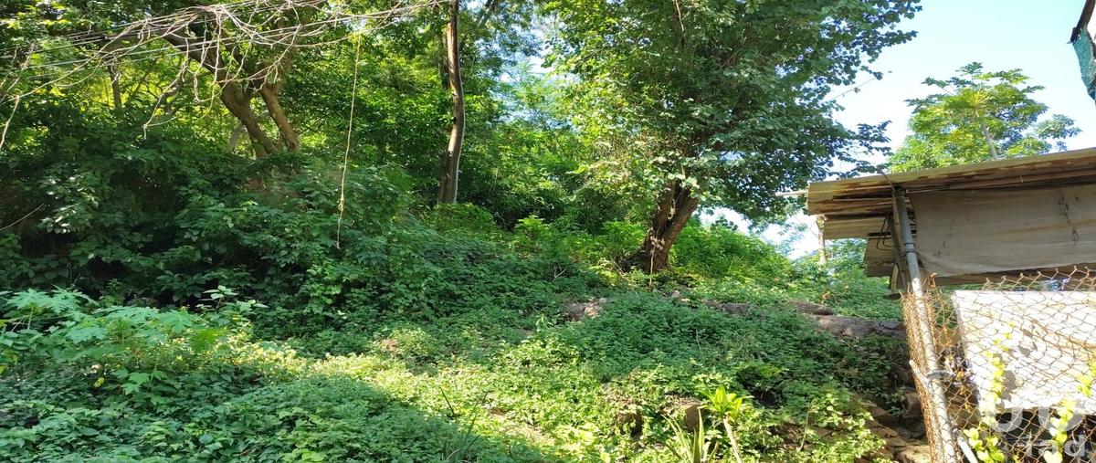 Foto de terreno habitacional en venta en cenzontle 119, paso ancho, puerto vallarta, jalisco, 30517893 No. 03