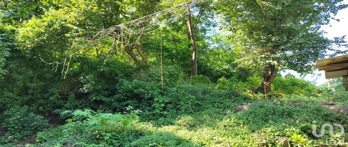 Foto de terreno habitacional en venta en cenzontle 119, paso ancho, puerto vallarta, jalisco, 30517893 No. 04