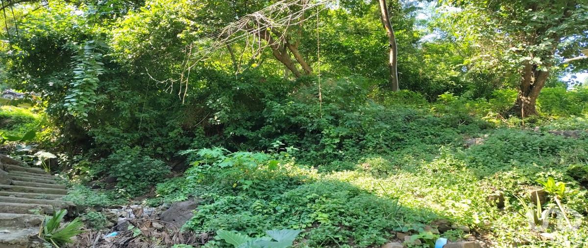 Foto de terreno habitacional en venta en cenzontle 119, paso ancho, puerto vallarta, jalisco, 30517893 No. 05