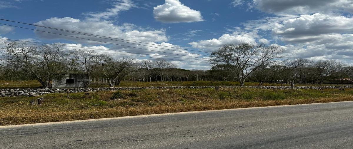 Foto de terreno habitacional en , cepeda peraza, umán, yucatán, 0 foto 04 Foto de terreno habitacional en venta en , cepeda peraza, umán, yucatán, 0 No. 04