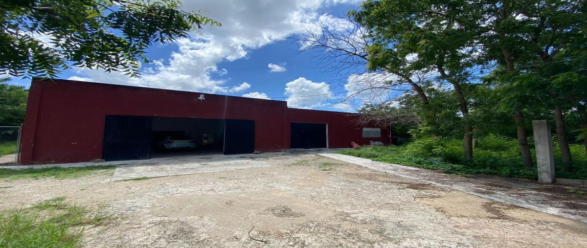 Foto de terreno industrial en , cepeda peraza, umán, yucatán, 0 foto 01 Foto de terreno industrial en venta en , cepeda peraza, umán, yucatán, 0 No. 01