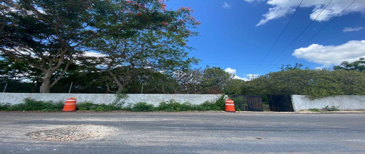 Foto de terreno industrial en , cepeda peraza, umán, yucatán, 0 foto 05 Foto de terreno industrial en venta en , cepeda peraza, umán, yucatán, 0 No. 05