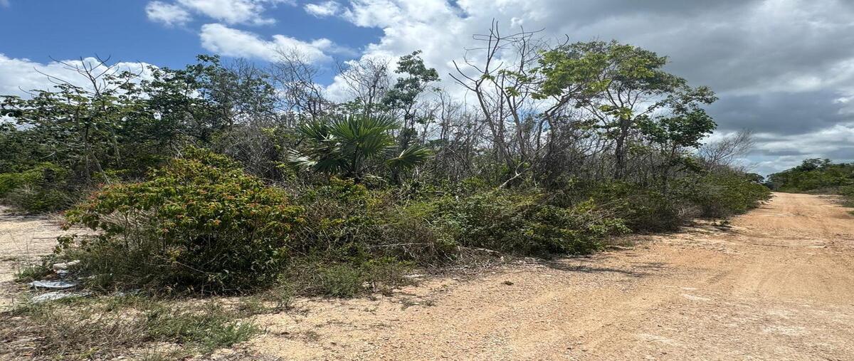Foto de terreno habitacional en venta en cerca cenote , playa del carmen, solidaridad, quintana roo, 29965537 No. 05