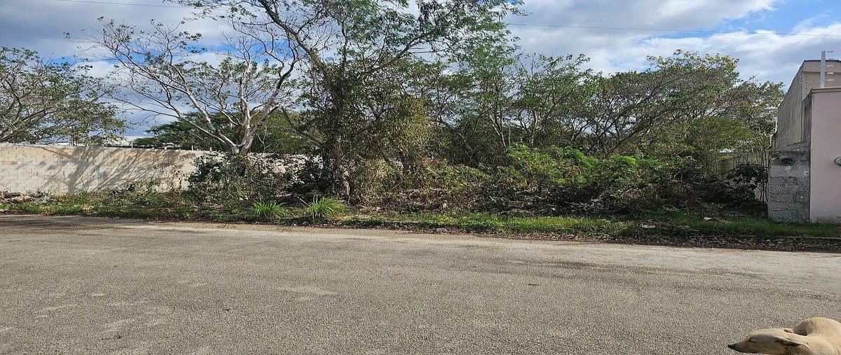 Foto de terreno habitacional en venta en cerca de la carretera chicxulub , cholul, mérida, yucatán, 0 No. 03