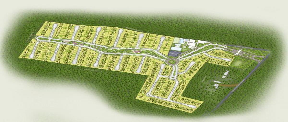 Foto de terreno habitacional en venta en cerca de periférico , cholul, mérida, yucatán, 0 No. 05