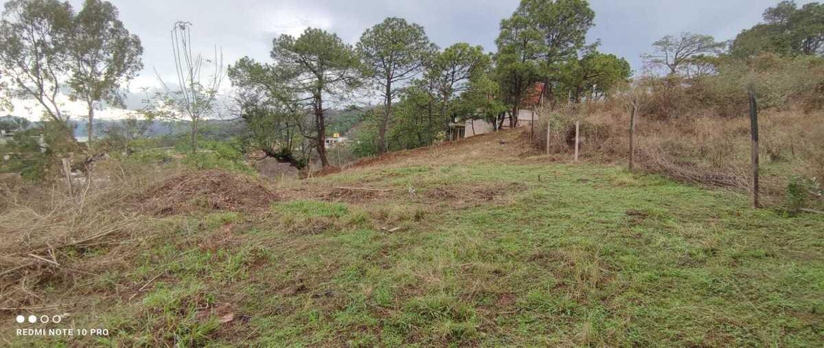 Foto de terreno habitacional en cerezo , valle de bravo, valle de bravo, méxico, 28772289 foto 02 Foto de terreno habitacional en venta en cerezo , valle de bravo, valle de bravo, méxico, 28772289 No. 02