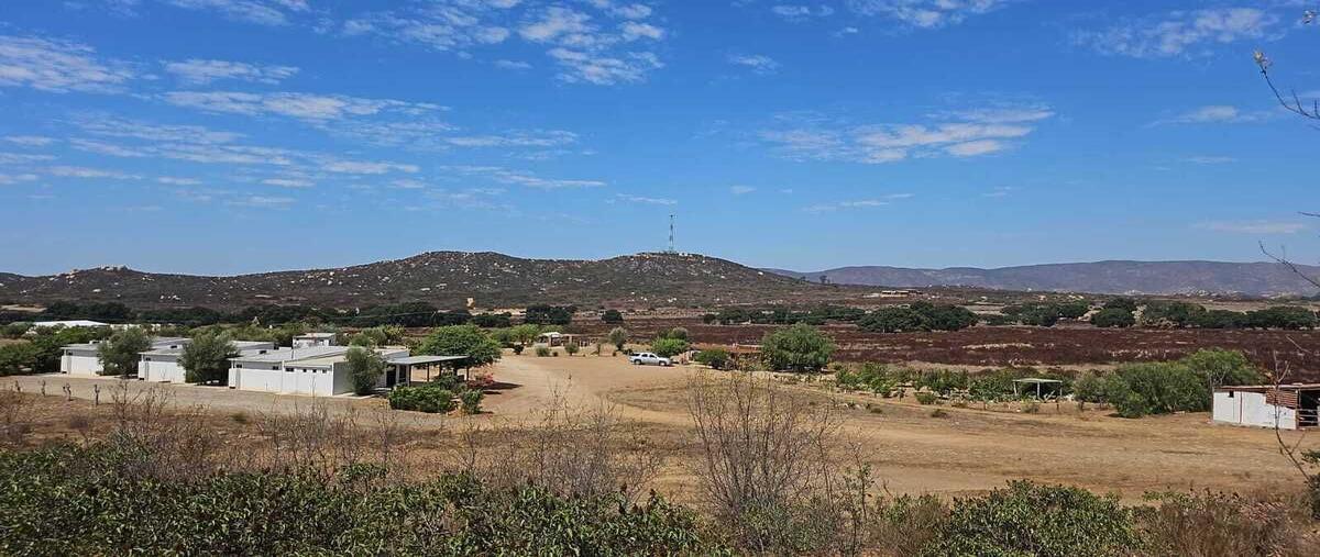 Foto de terreno habitacional en venta en cero , san antonio de las minas, ensenada, baja california, 0 No. 04