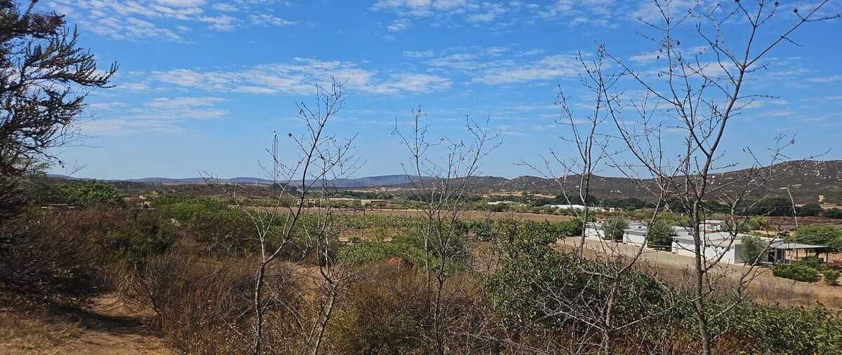 Foto de terreno habitacional en venta en cero , san antonio de las minas, ensenada, baja california, 0 No. 05