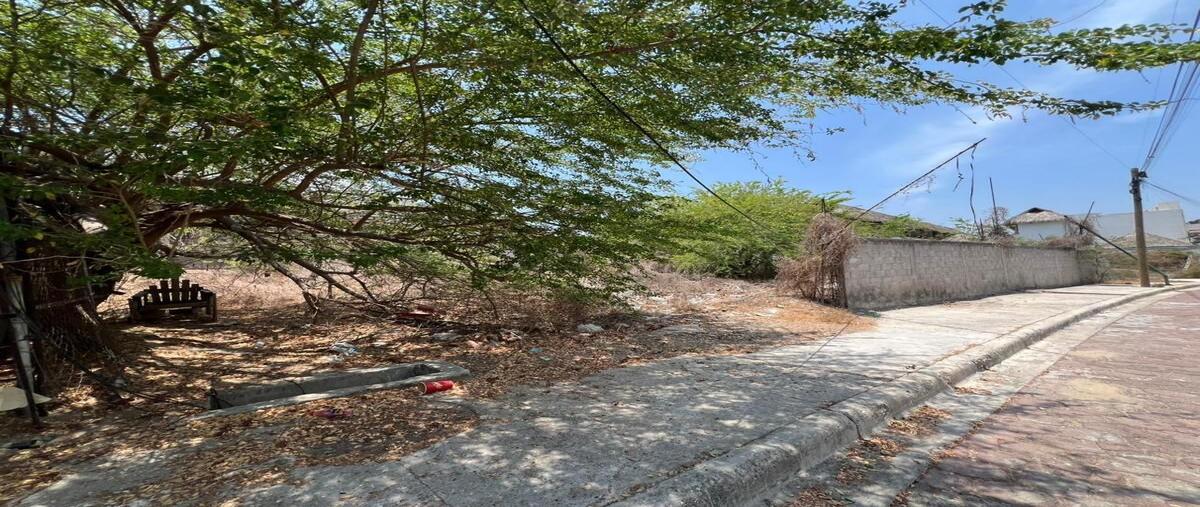 Foto de terreno habitacional en venta en cerrada costera las palmas , playa diamante, acapulco de juárez, guerrero, 29832271 No. 03