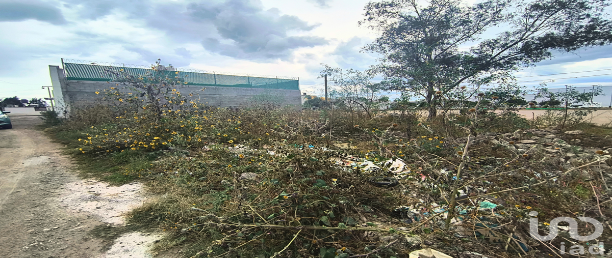 Foto de terreno habitacional en cerrada de abasolo , santa cruz de arriba, texcoco, méxico, 0 foto 02 Foto de terreno habitacional en venta en cerrada de abasolo , santa cruz de arriba, texcoco, méxico, 0 No. 02