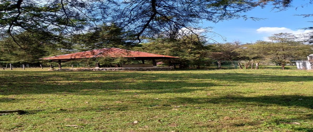 Foto de terreno comercial en cerrada de aristoteles , popular campestre, uruapan, michoacán de ocampo, 30525228 foto 03 Foto de terreno comercial en venta en cerrada de aristoteles , popular campestre, uruapan, michoacán de ocampo, 30525228 No. 03