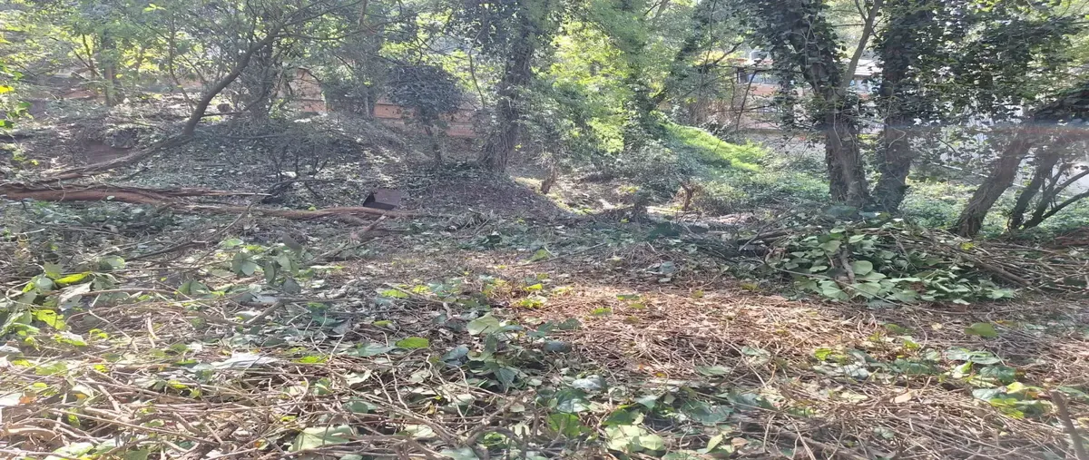 Foto de terreno habitacional en venta en cerrada de cedros 145, alcantarilla, álvaro obregón, df / cdmx, 0 No. 04