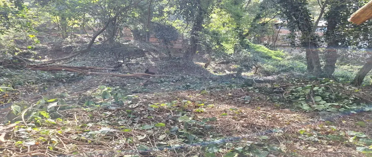 Foto de terreno habitacional en venta en cerrada de cedros 145, alcantarilla, álvaro obregón, df / cdmx, 0 No. 05