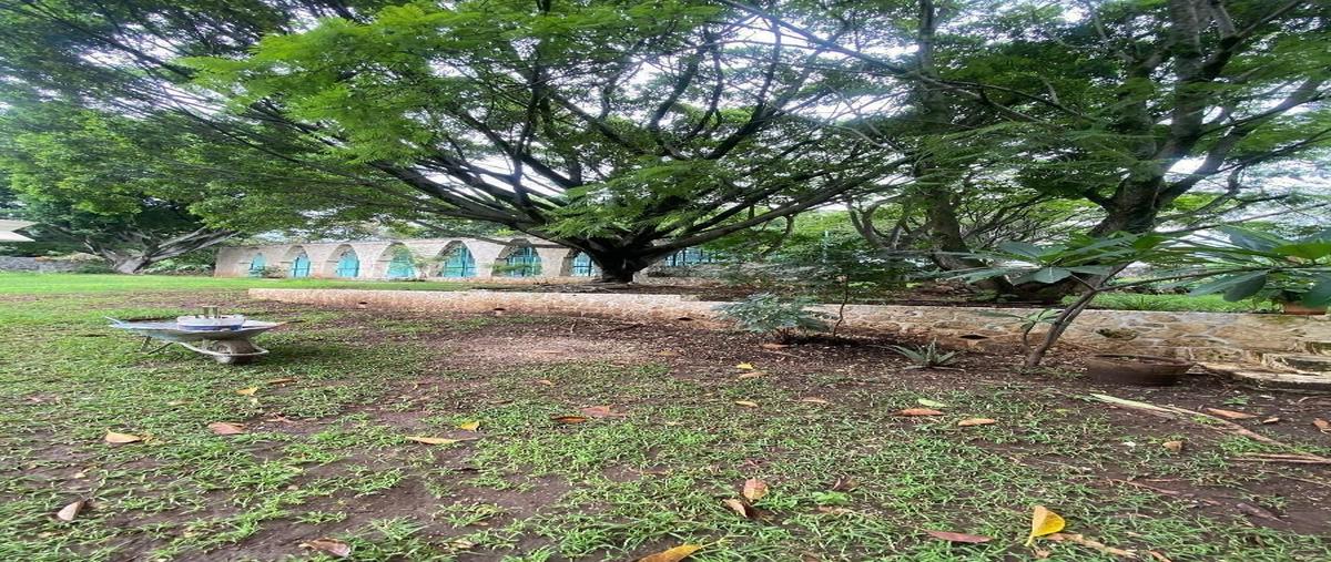 Foto de terreno habitacional en venta en cerrada de huicoyan , huilotepec, tepoztlán, morelos, 28459512 No. 05