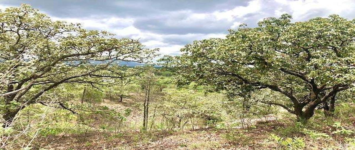 Foto de terreno habitacional en venta en cerrada de las hiedras , el arenal, el arenal, jalisco, 0 No. 03