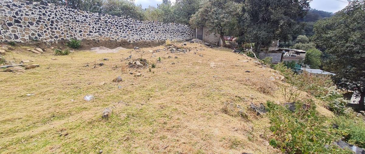 Foto de terreno habitacional en venta en cerrada de las rosas , san miguel topilejo, tlalpan, df / cdmx, 26101764 No. 03