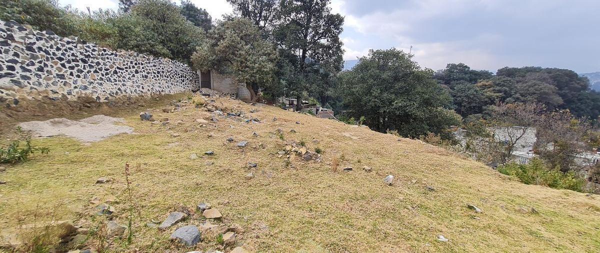 Foto de terreno habitacional en venta en cerrada de las rosas , san miguel topilejo, tlalpan, df / cdmx, 26101764 No. 05