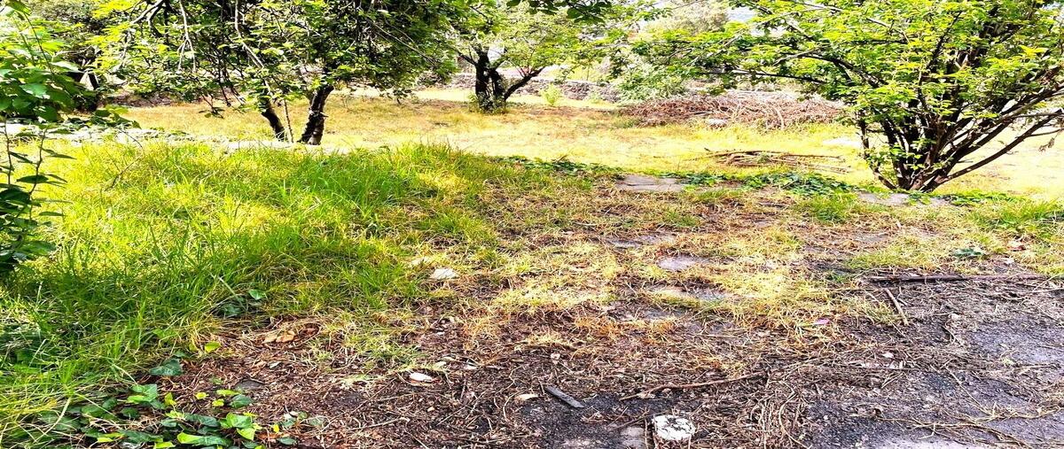 Foto de terreno habitacional en venta en cerrada de niebla , san andrés totoltepec, tlalpan, df / cdmx, 29285810 No. 05