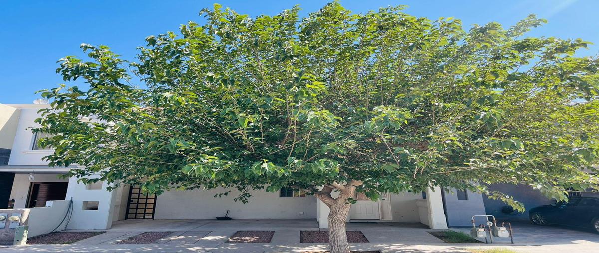 Foto de casa en , cerrada los olivos, juárez, chihuahua, 0 foto 02 Foto de casa en venta en , cerrada los olivos, juárez, chihuahua, 0 No. 02