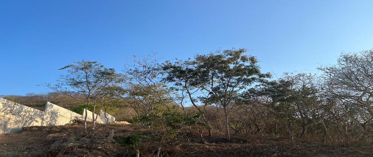 Foto de terreno habitacional en cerrada marqués de comillas , bosques del sur, tuxtla gutiérrez, chiapas, 24844248 foto 03 Foto de terreno habitacional en venta en cerrada marqués de comillas , bosques del sur, tuxtla gutiérrez, chiapas, 24844248 No. 03