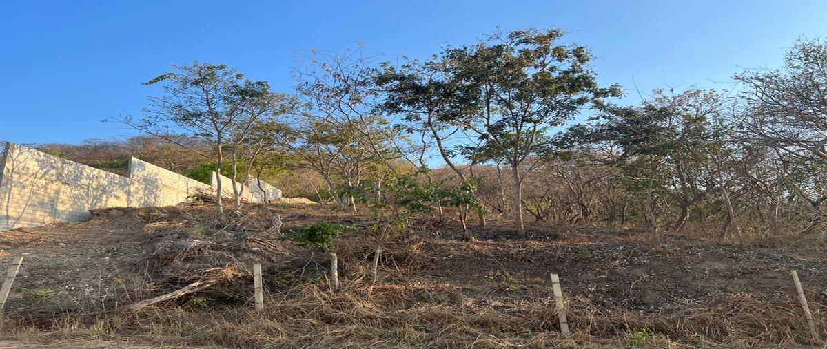 Foto de terreno habitacional en cerrada marqués de comillas , bosques del sur, tuxtla gutiérrez, chiapas, 24844248 foto 04 Foto de terreno habitacional en venta en cerrada marqués de comillas , bosques del sur, tuxtla gutiérrez, chiapas, 24844248 No. 04