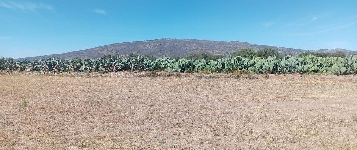 Foto de terreno habitacional en venta en cerrada rosendo arnaiz , san martín de las pirámides, san martín de las pirámides, méxico, 30847600 No. 03