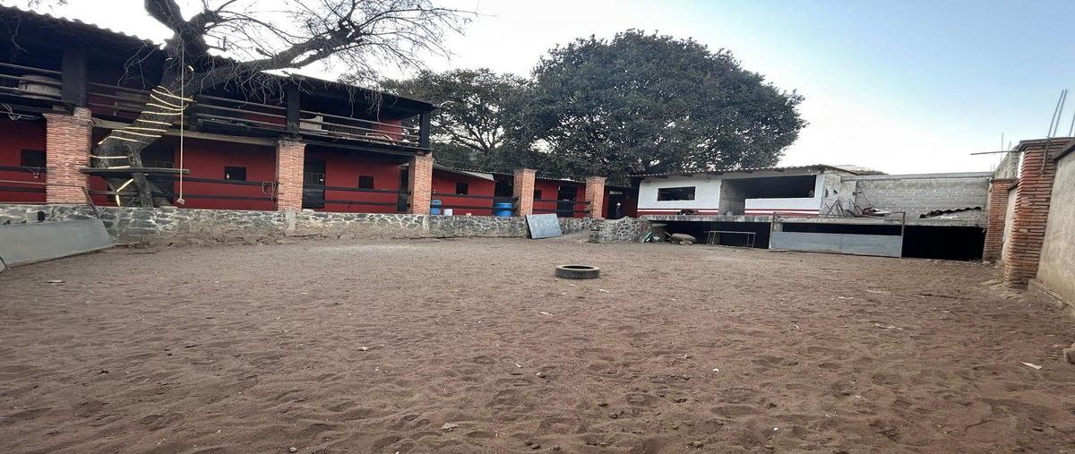 Foto de terreno habitacional en renta en cerrada vía chiquita , san nicolás totolapan, la magdalena contreras, df / cdmx, 0 No. 03