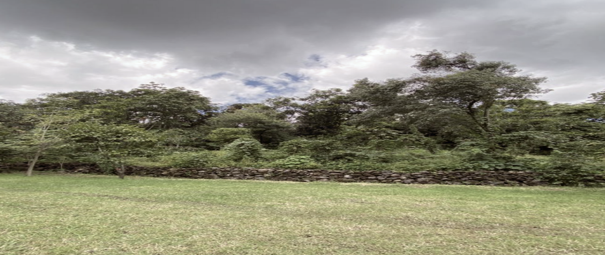 Foto de terreno habitacional en venta en cerranda del mamey , amate amarillo, malinalco, méxico, 0 No. 04