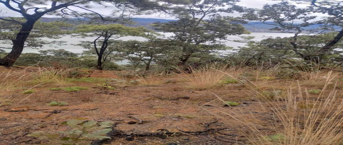 Foto de terreno habitacional en venta en cerrillo , el cerrillo, valle de bravo, méxico, 0 No. 03