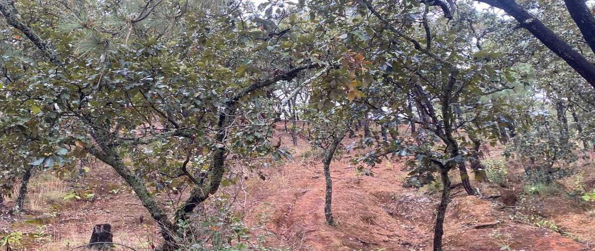 Foto de terreno habitacional en venta en cerrillo , el cerrillo, valle de bravo, méxico, 0 No. 04