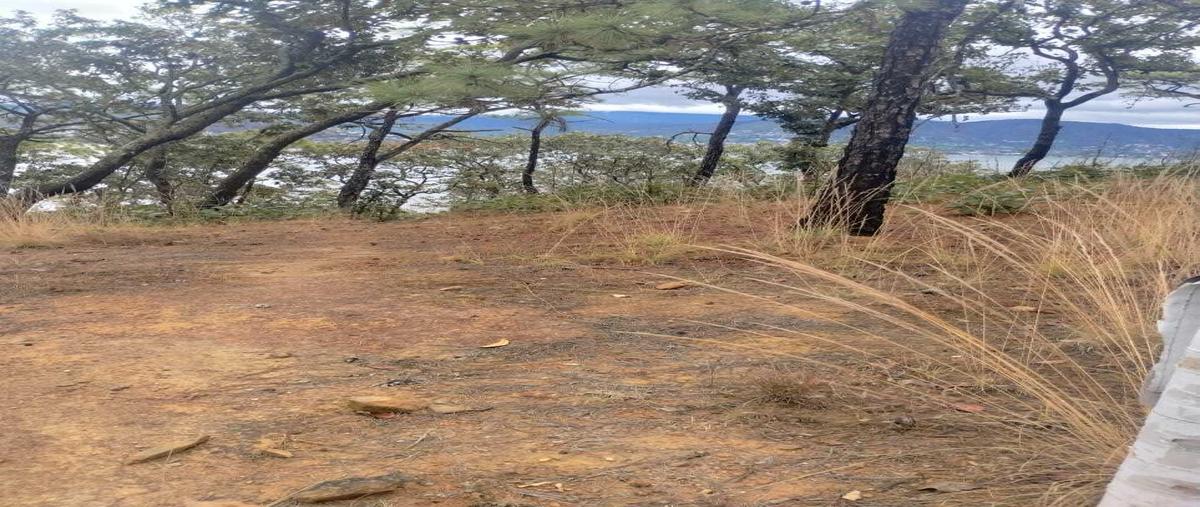 Foto de terreno habitacional en venta en cerrillo , el cerrillo, valle de bravo, méxico, 0 No. 05
