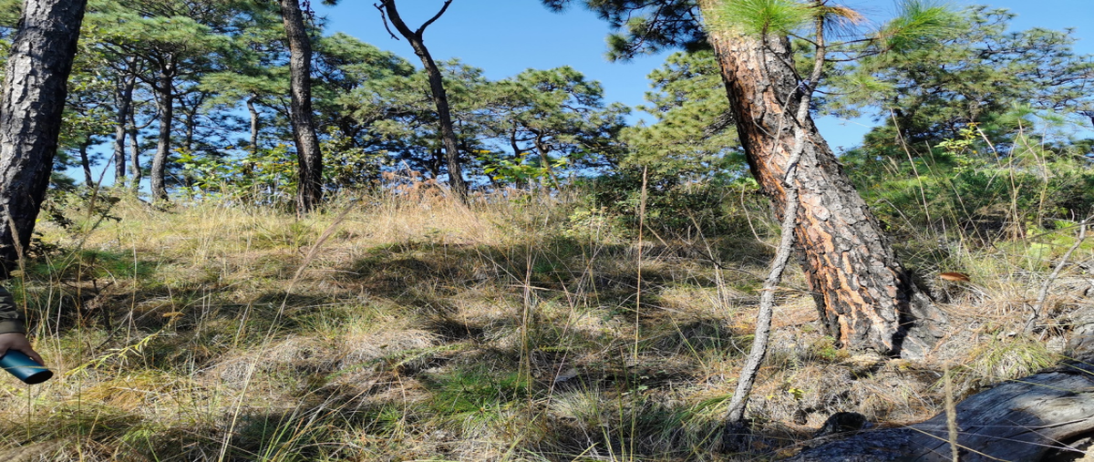 Foto de terreno habitacional en venta en cerrillo , rincón villa del valle, valle de bravo, méxico, 28152566 No. 04