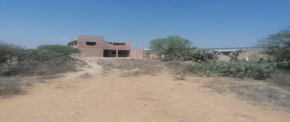 Foto de departamento en venta en  , cerrito de estanzuela, mexquitic de carmona, san luis potosí, 0 No. 05