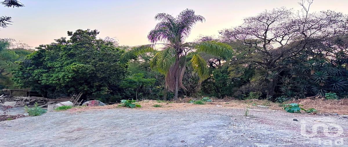 Foto de terreno habitacional en venta en cerritos 292, bellavista, cuernavaca, morelos, 30948821 No. 05