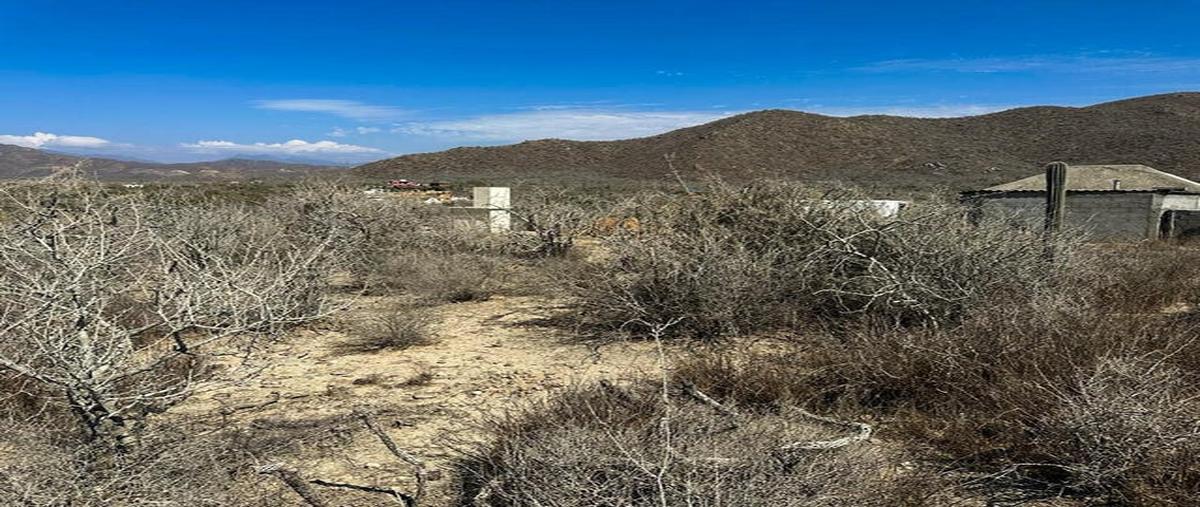 Foto de terreno habitacional en venta en cerritos beach hidden gem 1127 aranas ranas , el pescadero, la paz, baja california sur, 26677387 No. 04