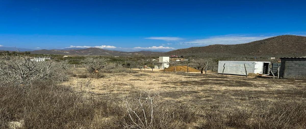 Foto de terreno habitacional en venta en cerritos beach hidden gem 1127 aranas ranas , el pescadero, la paz, baja california sur, 26677387 No. 05