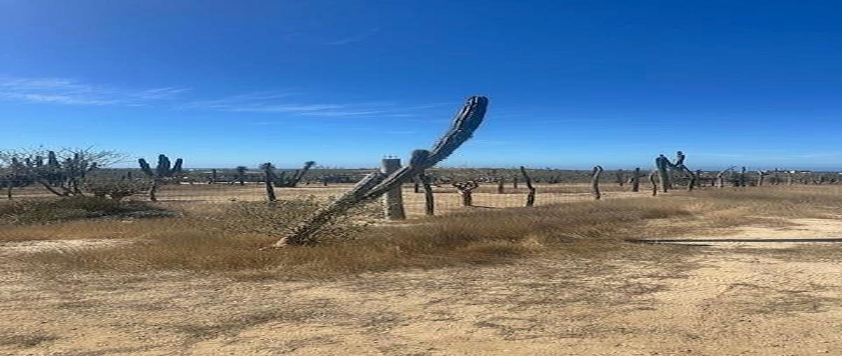 Foto de terreno habitacional en venta en cerritos , el pescadero, la paz, baja california sur, 0 No. 05