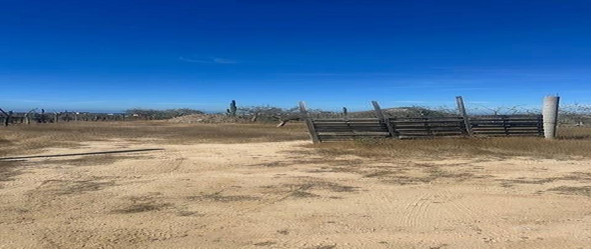 Foto de terreno habitacional en venta en cerritos , el pescadero, la paz, baja california sur, 0 No. 07