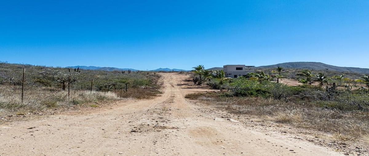 Foto de terreno habitacional en venta en cerritos , los cerritos, la paz, baja california sur, 0 No. 04