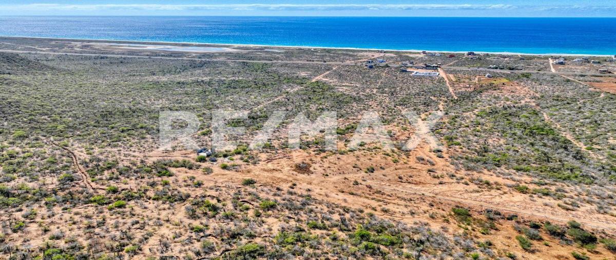 Foto de terreno habitacional en venta en cerritos lot s/n palmae del medio , el pescadero, la paz, baja california sur, 0 No. 05