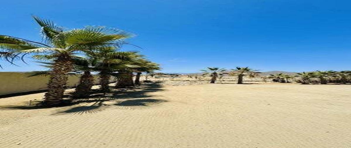 Foto de terreno habitacional en venta en cerritos surf colony , las tunas, la paz, baja california sur, 0 No. 04