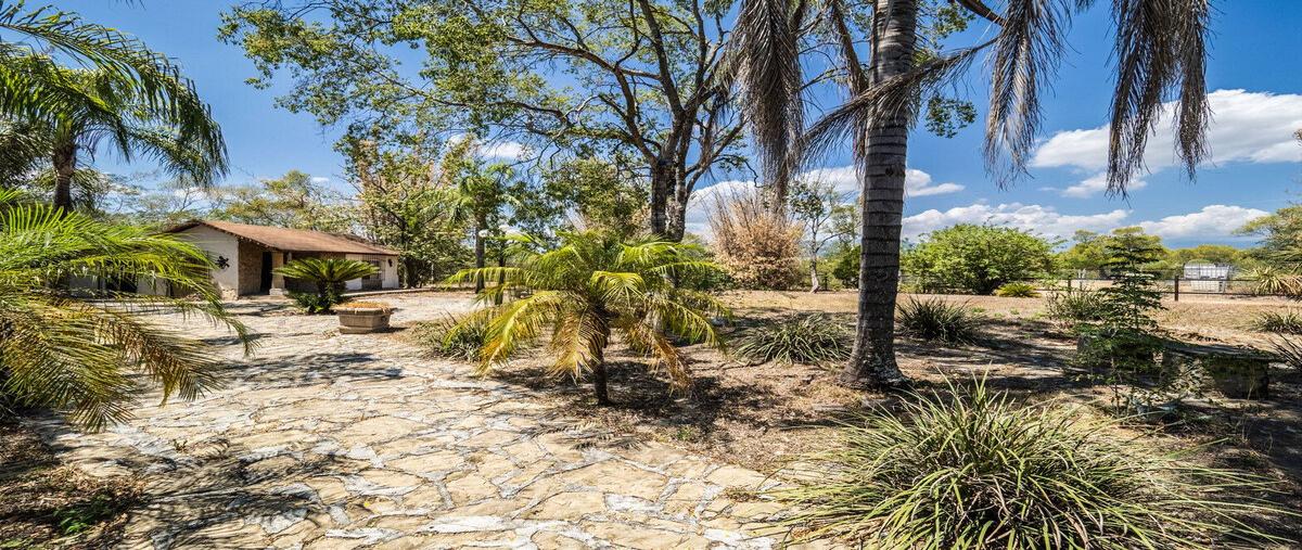 Foto de rancho en venta en cerro alto , congregación calles, montemorelos, nuevo león, 30200392 No. 05