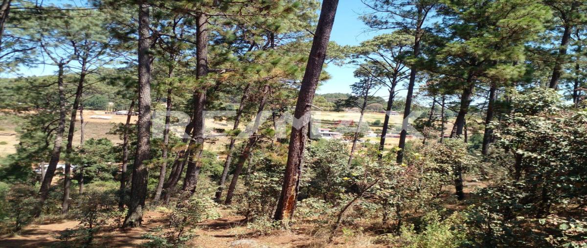 Foto de terreno habitacional en cerro colorado , cerro colorado, valle de bravo, méxico, 0 foto 01 Foto de terreno habitacional en venta en cerro colorado , cerro colorado, valle de bravo, méxico, 0 No. 01