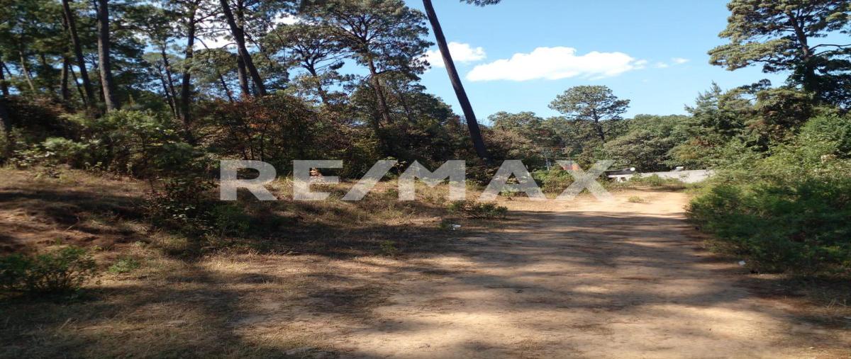 Foto de terreno habitacional en cerro colorado , cerro colorado, valle de bravo, méxico, 0 foto 02 Foto de terreno habitacional en venta en cerro colorado , cerro colorado, valle de bravo, méxico, 0 No. 02