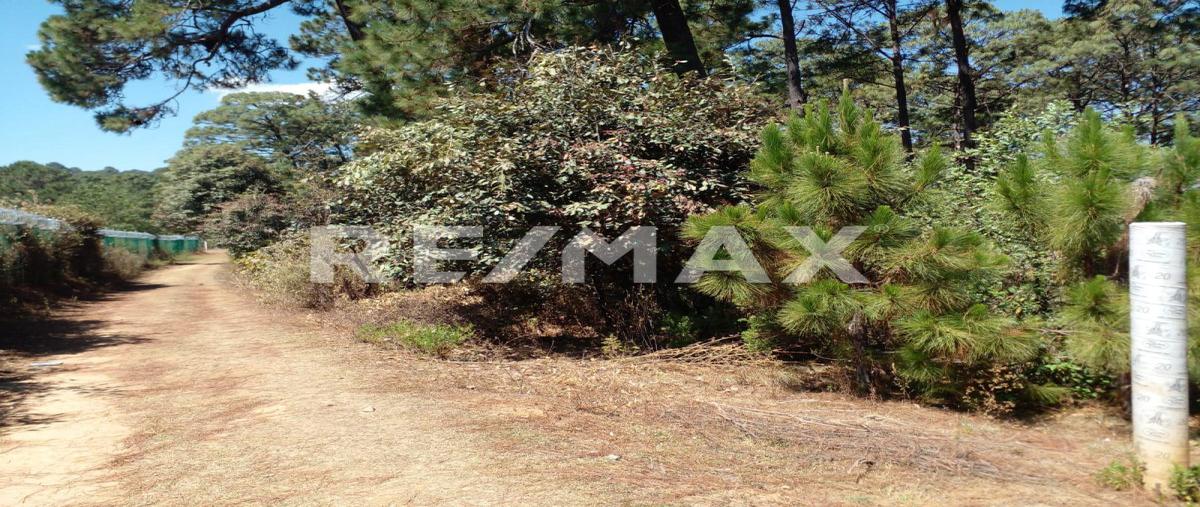 Foto de terreno habitacional en cerro colorado , cerro colorado, valle de bravo, méxico, 0 foto 03 Foto de terreno habitacional en venta en cerro colorado , cerro colorado, valle de bravo, méxico, 0 No. 03