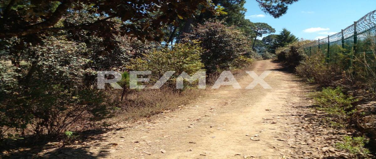 Foto de terreno habitacional en cerro colorado , cerro colorado, valle de bravo, méxico, 0 foto 04 Foto de terreno habitacional en venta en cerro colorado , cerro colorado, valle de bravo, méxico, 0 No. 04