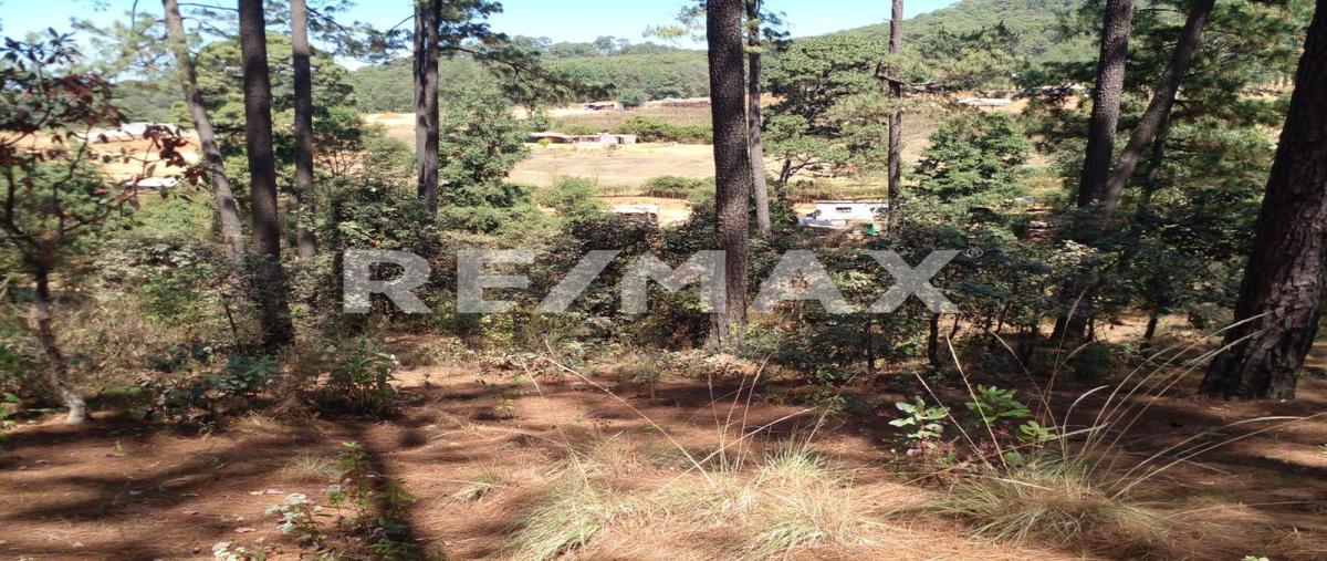 Foto de terreno habitacional en cerro colorado , cerro colorado, valle de bravo, méxico, 0 foto 05 Foto de terreno habitacional en venta en cerro colorado , cerro colorado, valle de bravo, méxico, 0 No. 05