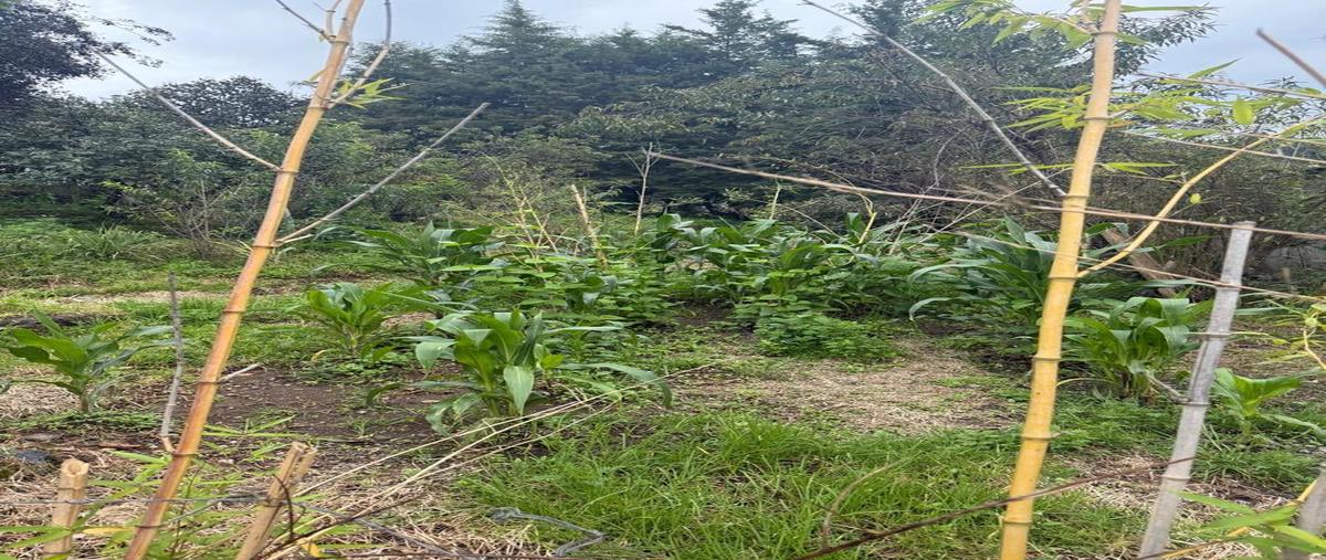 Foto de terreno habitacional en cerro colorado , cerro colorado, valle de bravo, méxico, 30392486 foto 01 Foto de terreno habitacional en venta en cerro colorado , cerro colorado, valle de bravo, méxico, 30392486 No. 01