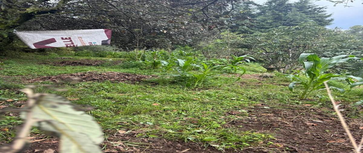 Foto de terreno habitacional en cerro colorado , cerro colorado, valle de bravo, méxico, 30392486 foto 02 Foto de terreno habitacional en venta en cerro colorado , cerro colorado, valle de bravo, méxico, 30392486 No. 02